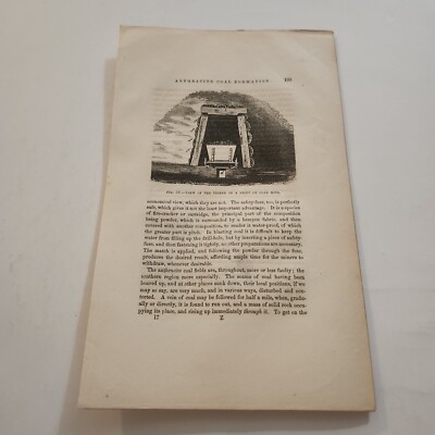 View Of The Timber If A Drift Coal Mine Pennsylvania c. 1852 Engraving (6)