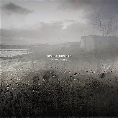 In November by Joshua Trinidad (Record, 2018)