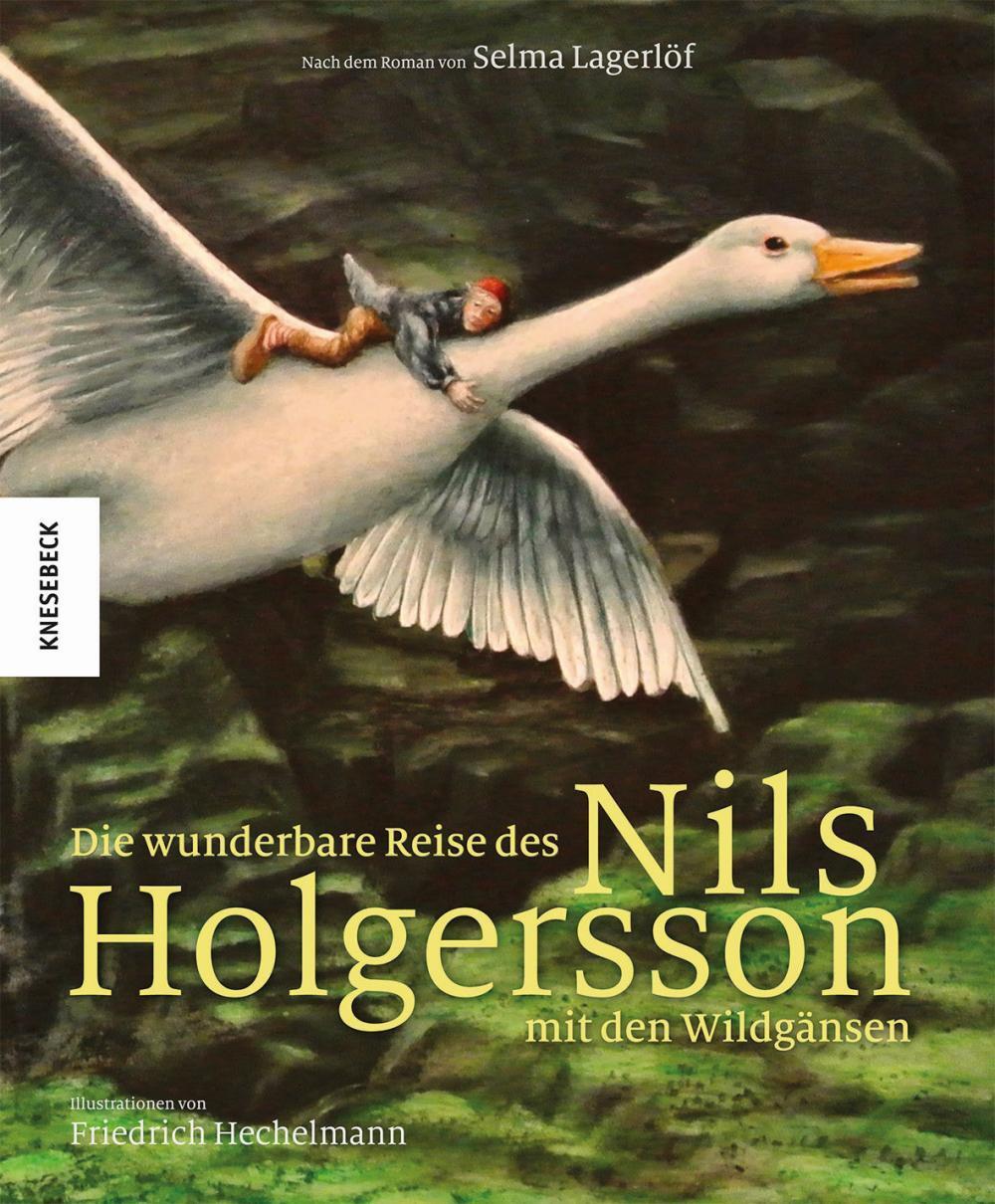 Thumbnail - Die Wunderbare Reise Des Nils Holgersson Mit Den Wildgänsen ...