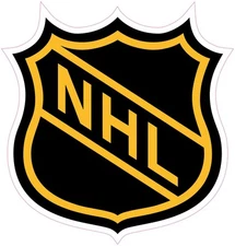 (NOT A PATCH) Boston Bruins Hockey HTV Heat Press Transfer Vinyl Iron On