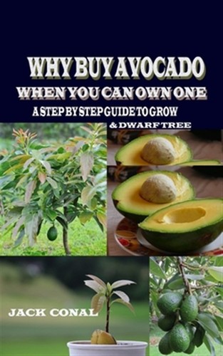 Warum Avocado kaufen, wenn Sie eine besitzen können: Eine Schritt-für-Schritt-Anleitung für Wachstum & Zwergttr...