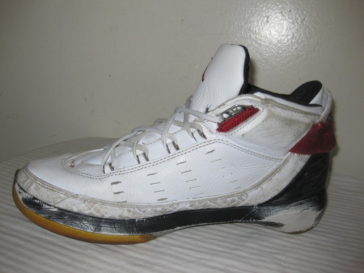 Air JORDAN XX2 PE # 317141 161 Men's Leather Shoes Size 12 | eBay