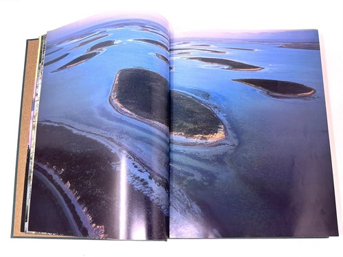 Tamaulipeca~Patricio Gil~2004~First Edition~Very Good Condition~Extreme Rare - Picture 7 of 13