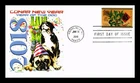 DR JIM STAMPS US COVER LUNAR NEW YEAR OF THE DOG FIRST DAY ISSUE PANDA CACHET