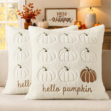 Fall Pillow Covers Pumpkin 20X20 Set of 2 Cream White Brown Stem Autumn Fall D