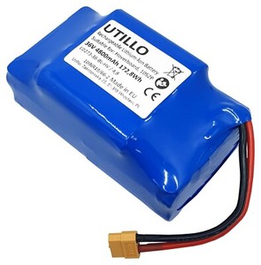 Batterie De Remplacement 36V 5.2Ah Pour Hoverboard ROBWAY X2 - 5200mAh