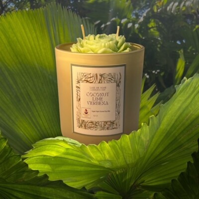 Take Me Home Candles,Coconut Lime verbena , 12 oz lux ,Highly Scented Soy Candle