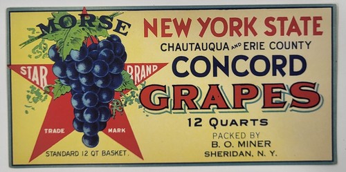LABEL New York State Grapes Star Brand Sheridan New York BO Miner - 第 1/1 張圖片