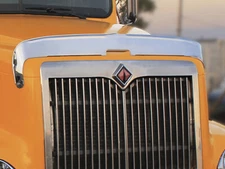 International 9200 Bug shield  # 2624