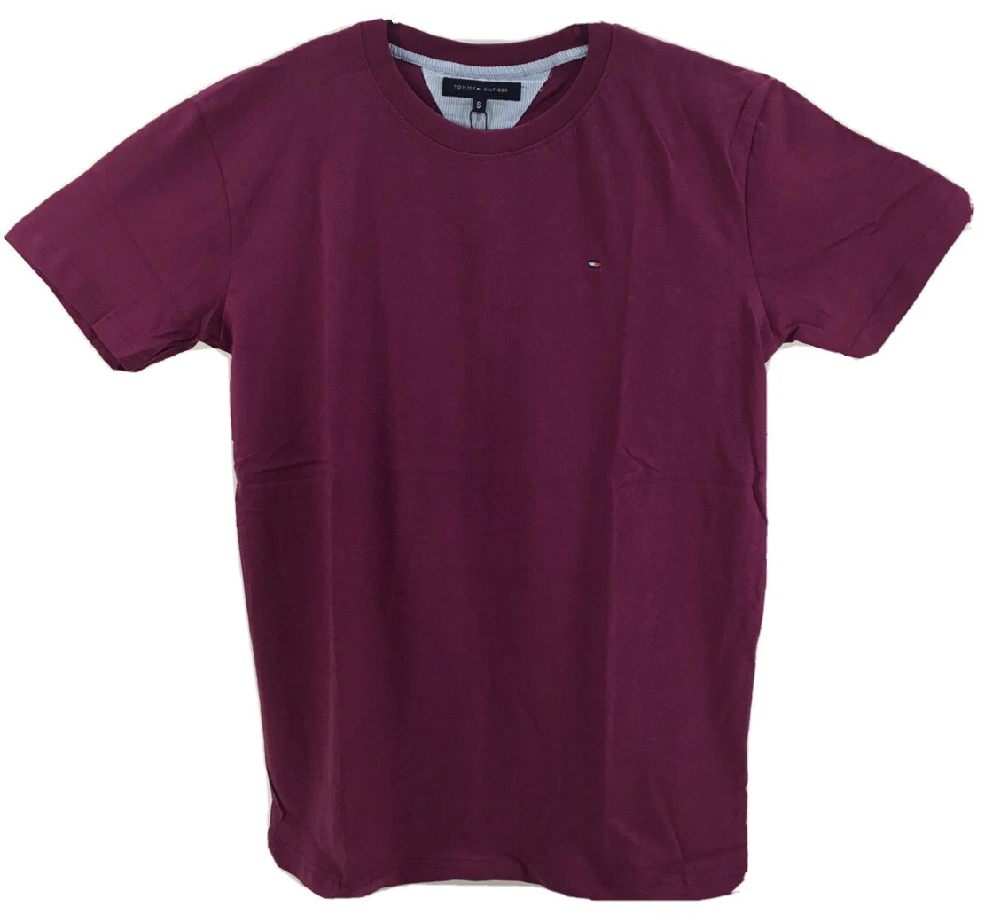Tommy Hilfiger Men's, Classic Fit Crew Neck Flag Cotton T-Shirt, Purple, XL