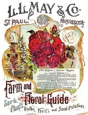 Iron Orchid Designs IOD "LL May II" May's Seeds Flower Floral Transfer 24" x 32"