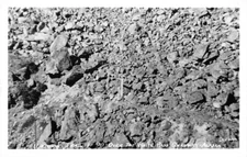 Historic Trail of 98 over the White Pass Skagway Alaska Dedman Real Photo