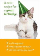 RSVP Cat's Recipe For a Great Birthday Funny / Humorous Cat Birthday Card
