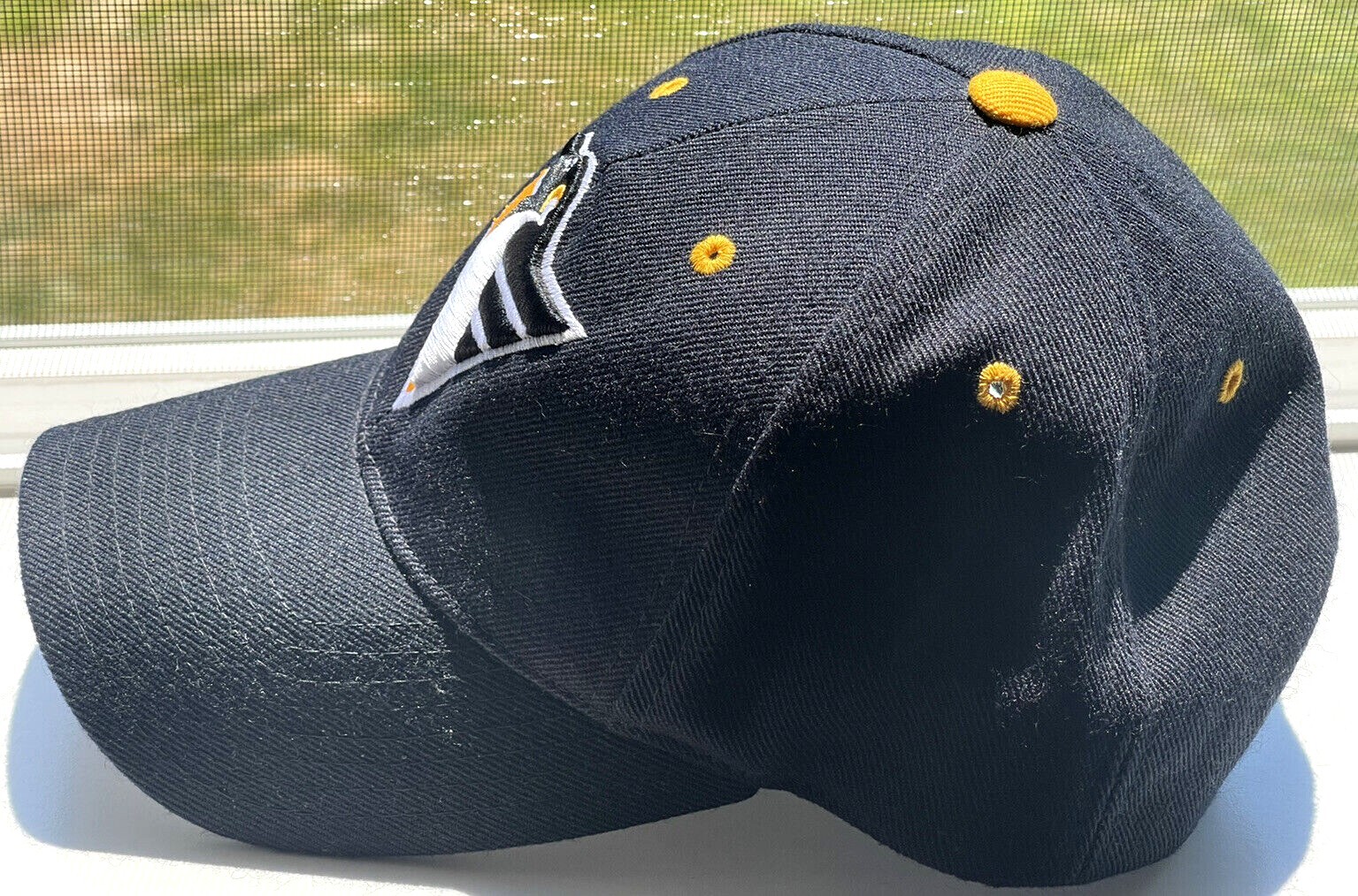 Picture 5 of 10
