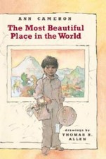 The Most Beautiful Place in the World - Paperback By Cameron, Ann - GOOD