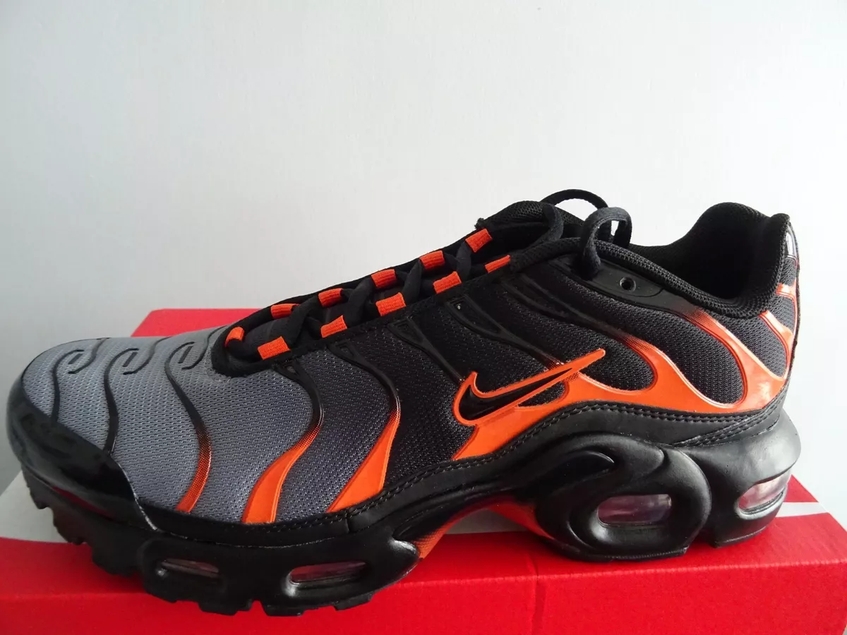 Nike air max top plus shoe box