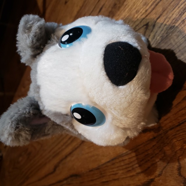 chubby puppies plush