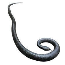 COTOSEY 53 Rubber Snake Realistic Fake Snakes Toy for Fools Day Pranks