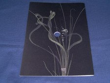 hole that can't be helped TBKashi Matsuoaomi BKimoto G2 FG