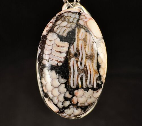 Pendentif jaspe peau de serpent - pierre précieuse ovale, cabochon en cristal poli, 53456 - Photo 1 sur 2