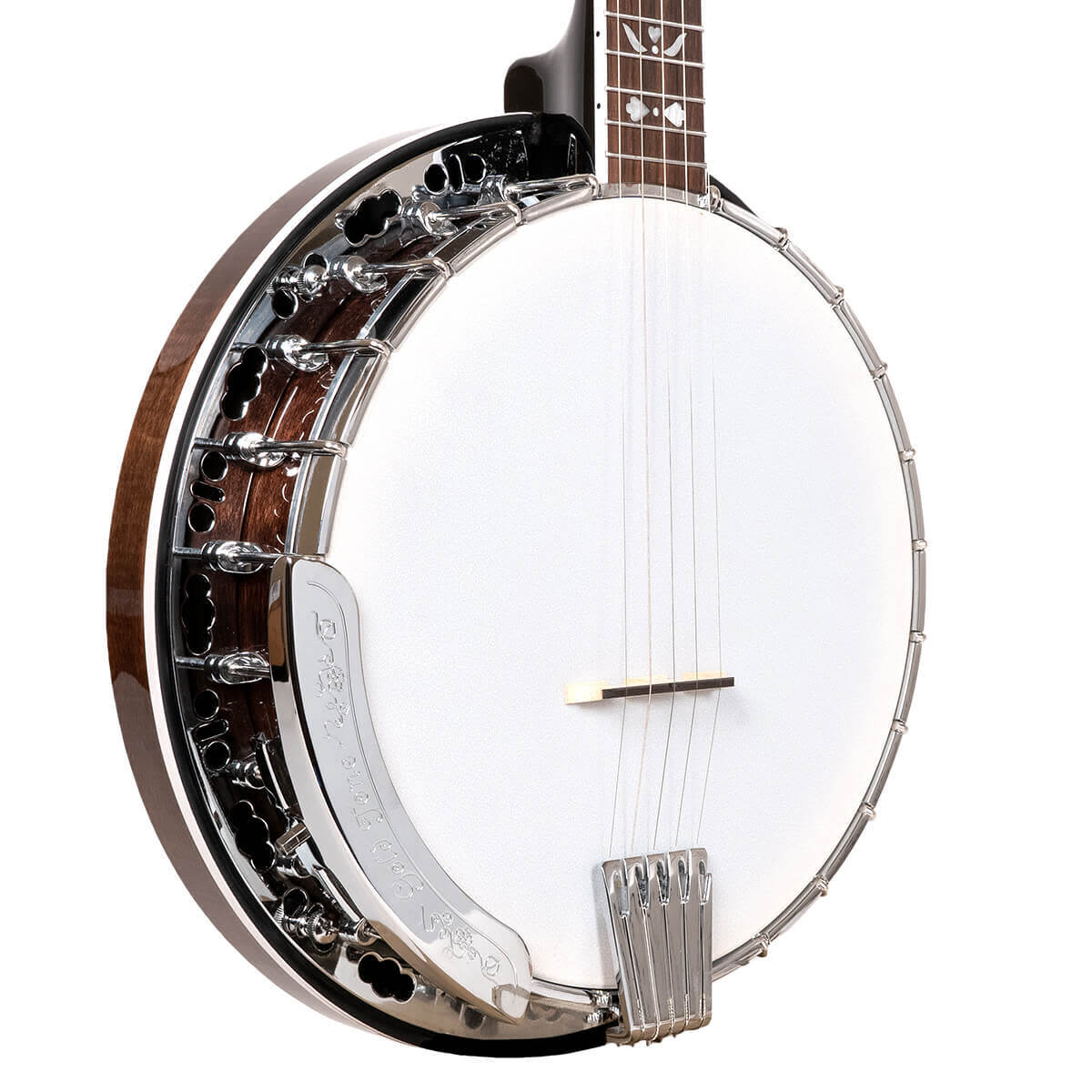 Банджо с 5-струнным резонатором Gold Tone BF-150F Bluegrass