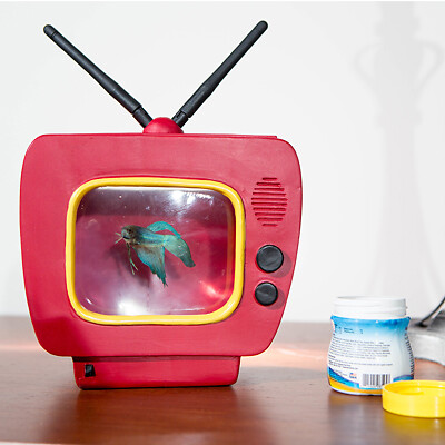 Betta Vision - Acquario a forma di Tv