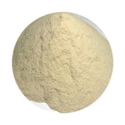 500gram Propylene glycol alginate ester PGA powder CAS: 9005-37-2