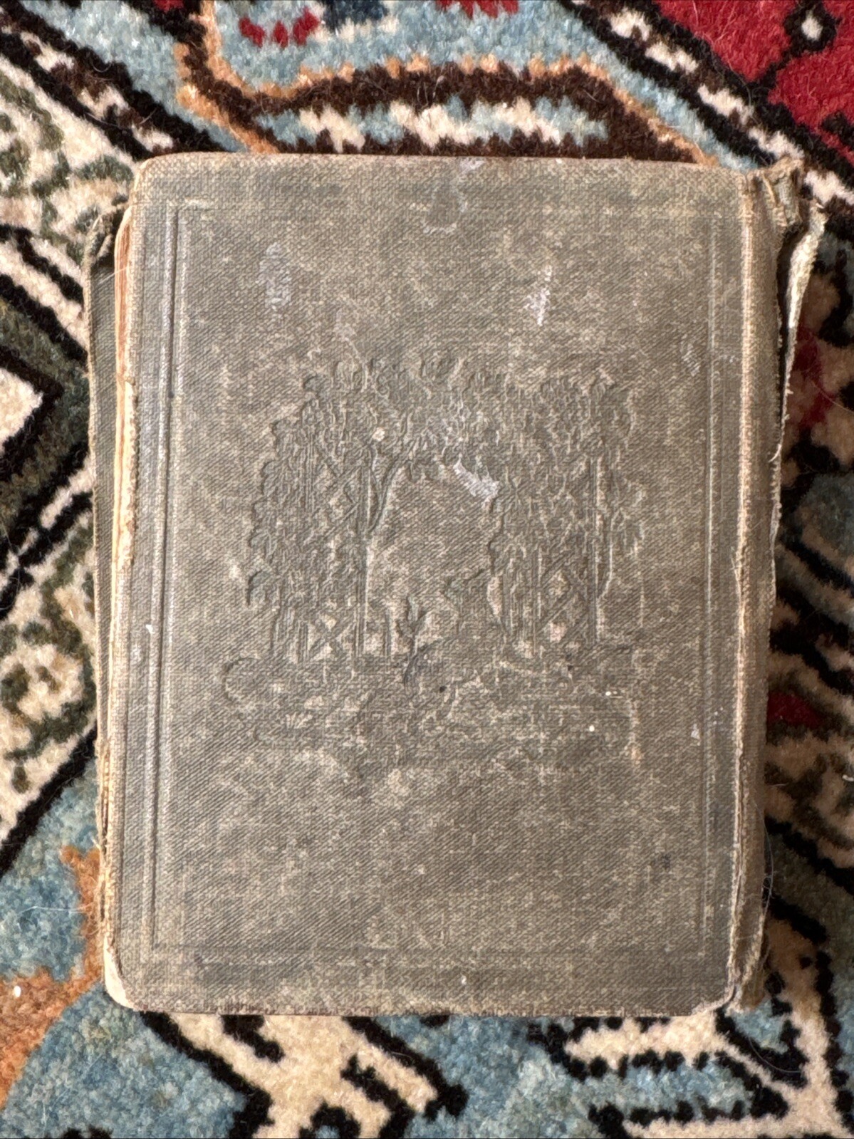 Foto 2 di 14