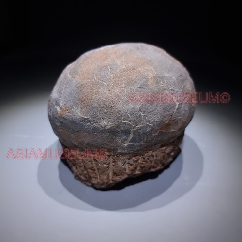 Dinosaurier Eiernest Dendrolithus Hadrosaurier Entenschnabel Fossil Jurassic Park World GU9 - Bild 7 von 11