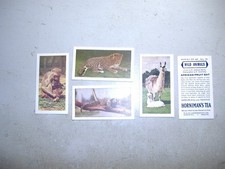Hornimans trade cards Wild Animals (8707) 5/48 variable condition