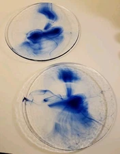 Vintage Bormioli Rocco Cobalt Blue Swirl Clear Glass 11" Dinner Plates Set Of 2