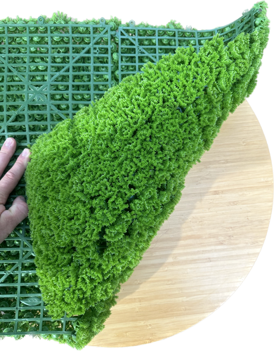 1 Quadratmeter Premium künstliche grüne Mooswand|Moosbild Wandverkleidung Gastro - Bild 7 von 9