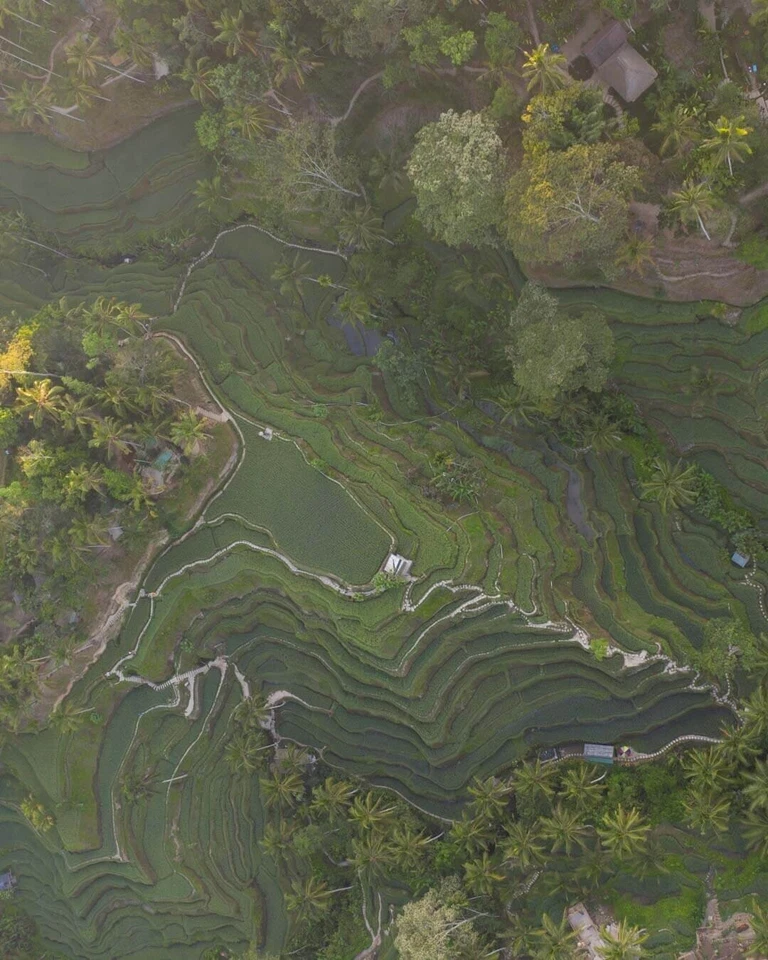 TROPICAL COLLECTION Lightroom Presets, 40 Lightroom Presets. - Image 4 of 4