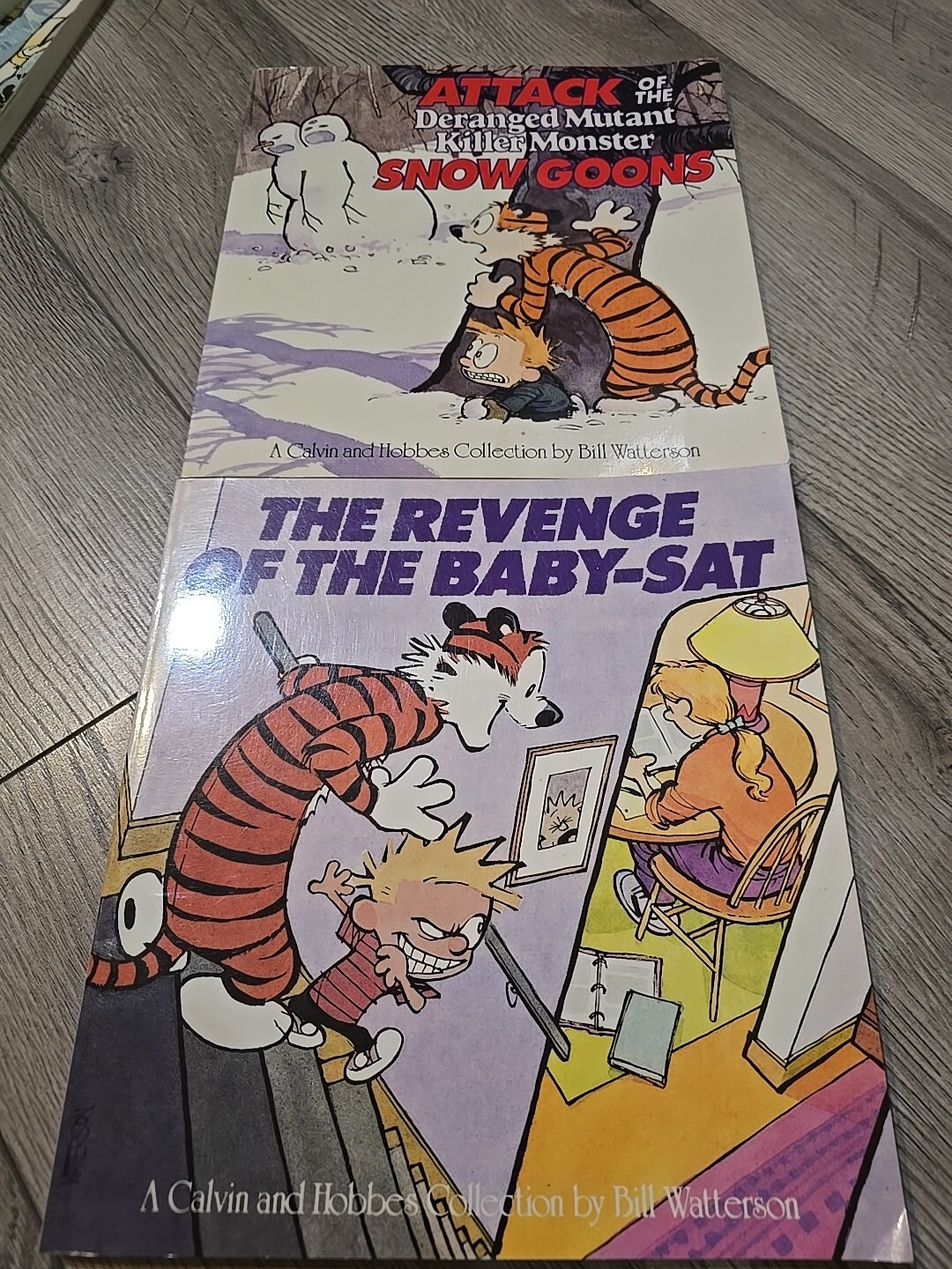 calvin and hobbes books Bundle Of 2