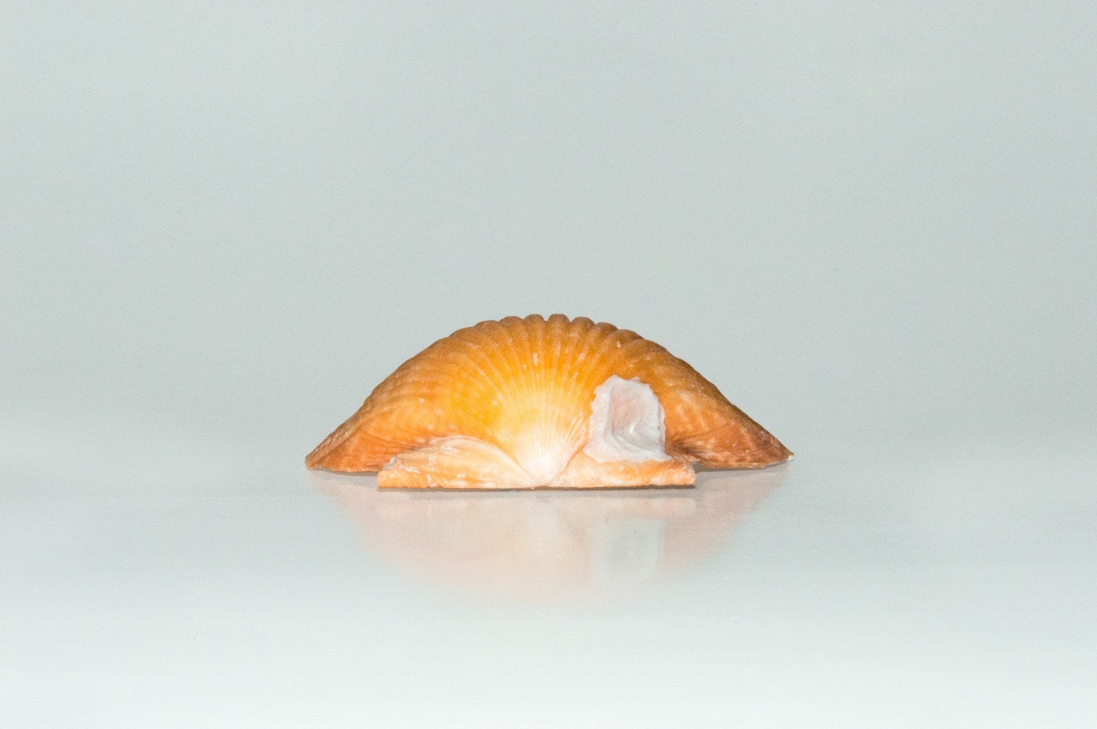 Picture 4 of 6