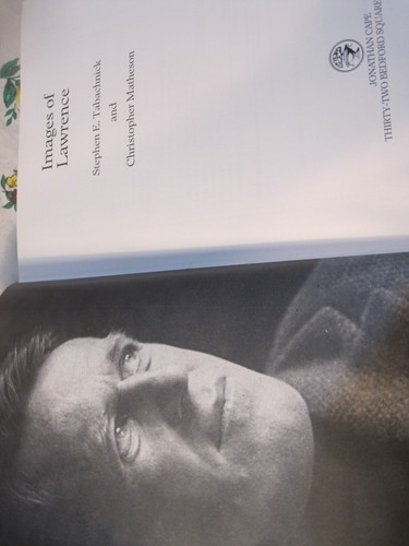Images of Lawrence (Lawrence of Arabia)-Stephen Tabachnick (hardcover 1988) - Picture 10 of 10