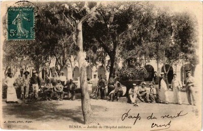 CPA ALGERIA Geiser 17 TENES Jardin de l'Hopital Militaire (756166)