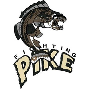Minnesota Fighting Pike AFL Arena Football Mens Polo XS-6X, LT-4XLT New