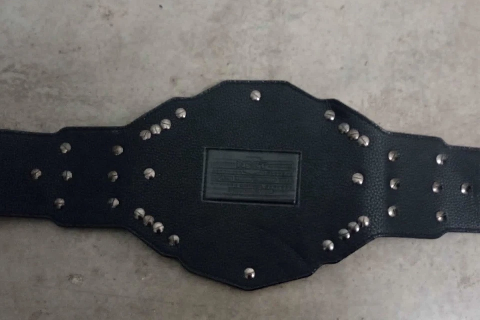 NXT womans championship replica belt wwe shop authentic - Image 2 of 4