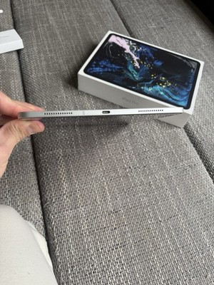 Apple iPad Pro 64GB Wi-Fi-Cellular 11 Zoll Space
