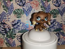 littlest petshop,cocker, Etoile Yeux #960 Authentique LPS