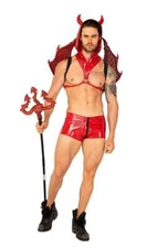Sexy 2pc Lucifers Desire Devil Halloween Cosplay Costume