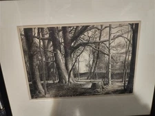 Edge of the Woods, circa 1944