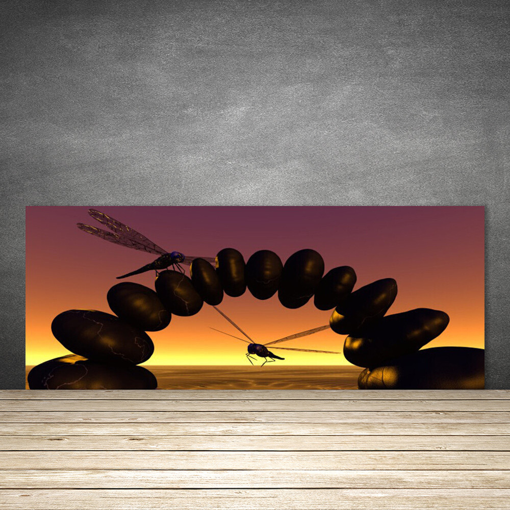 Crédence de cuisine en verre 125x50 Art Libellules pour stopper les taches de graisse