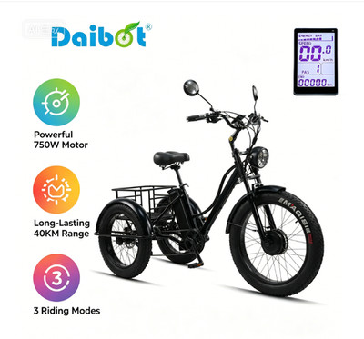 Daibot 24'' Fettreifen Elektro-Dreirad für Erwachsene 750W 48V 65km abnehmbarer A
