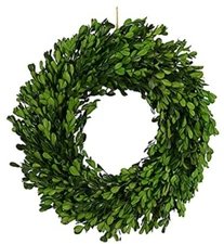 Pure Garden 13 Inch Boxwood Wreath Indoor Outdoor Artificial Fake Greenery