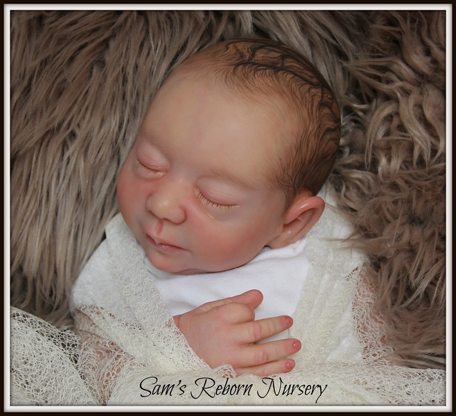 sam's reborn nursery