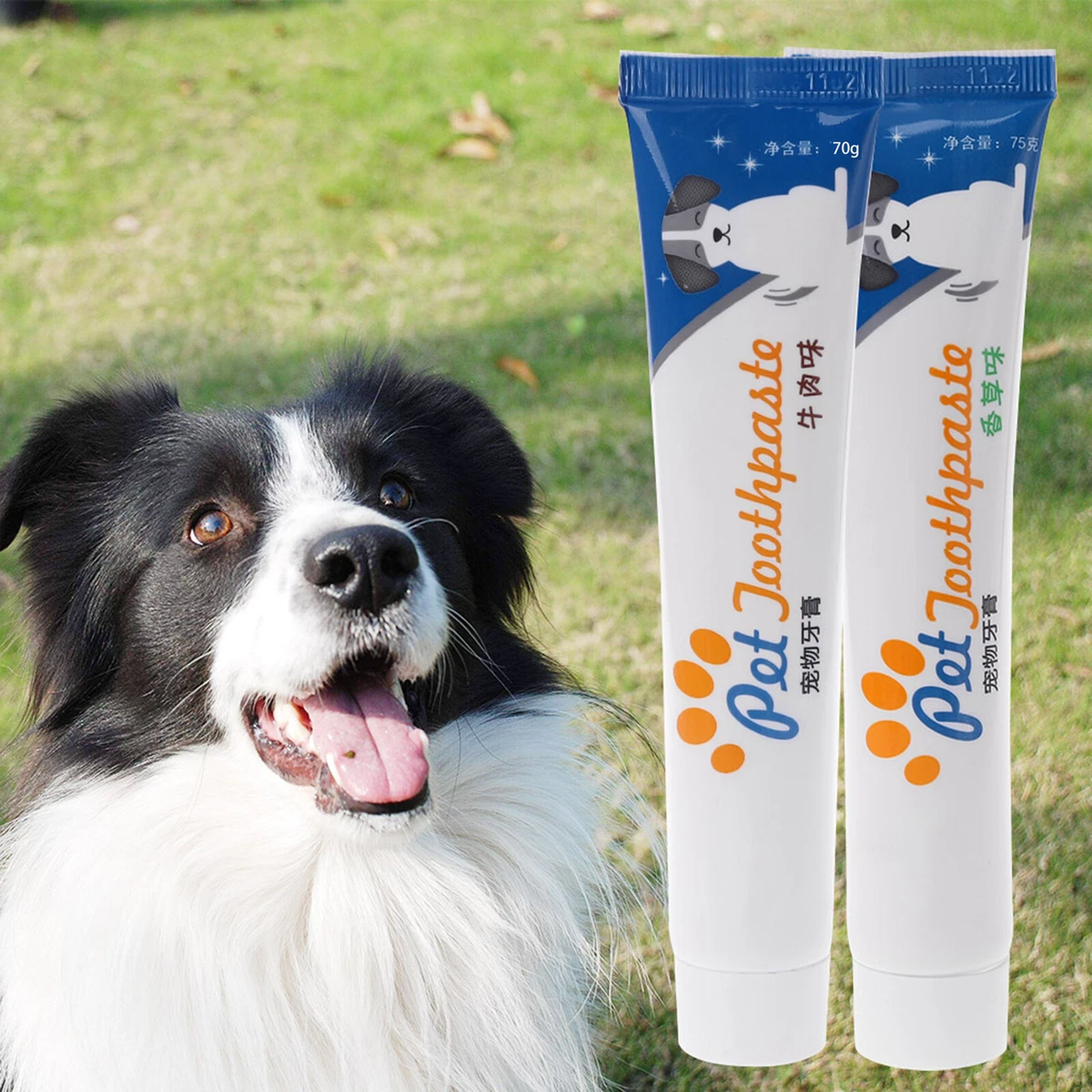 75g Natural Pet Toothpaste Dog Toothpaste for Dogs Puppy Remove