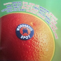 Wonderful Spot POP-ROCK Internationale Pop-Rock CD 1998