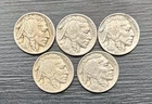 Lot Of 5 1935 S Buffalo Nickel San Francisco Mint Full Date Horn And Tail Visibl